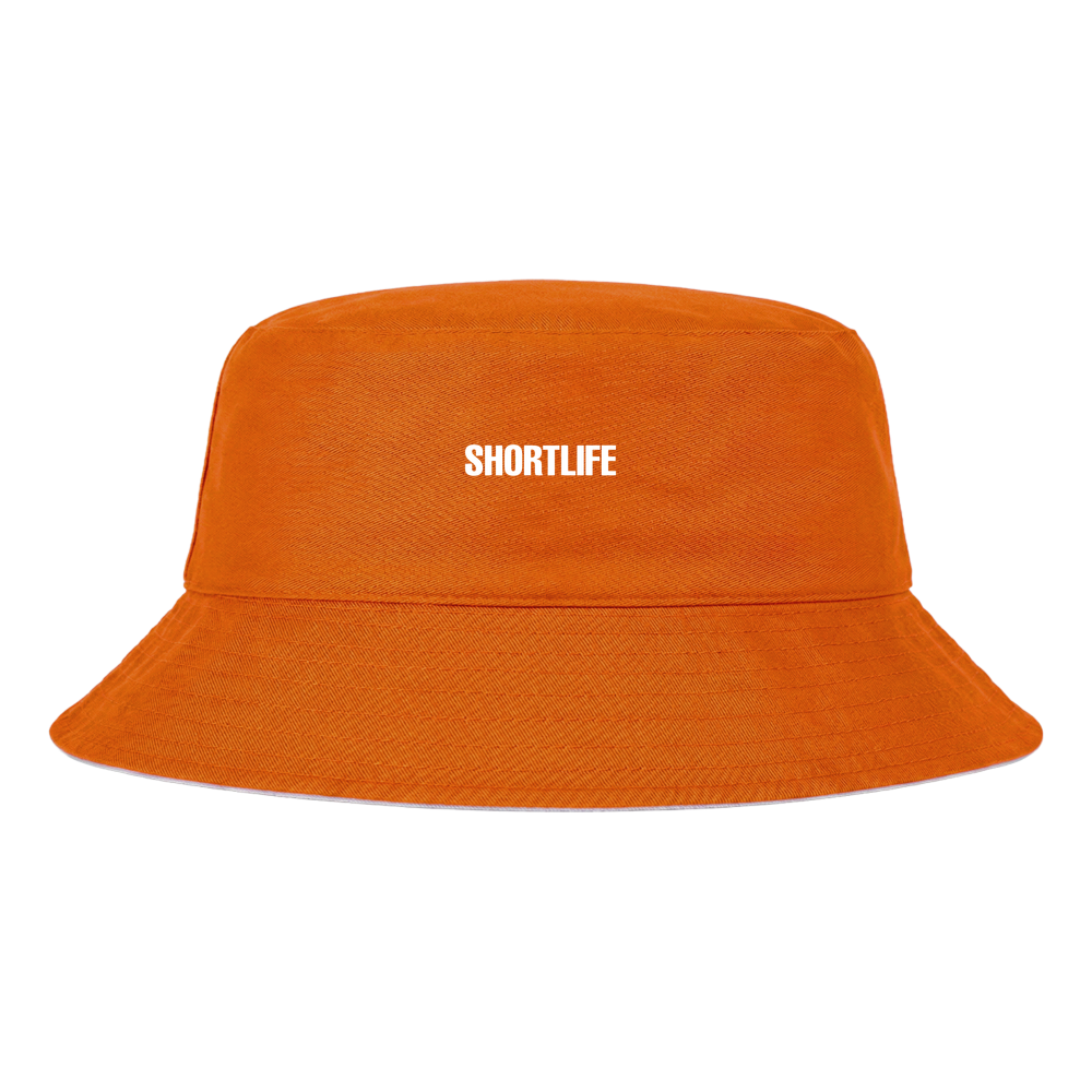 Image for color: orange